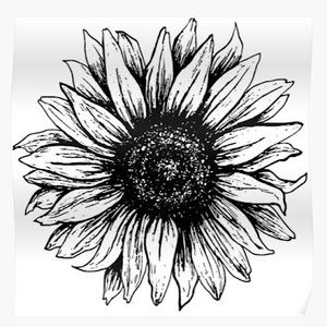 Meet your Posher, Gray sunflowers